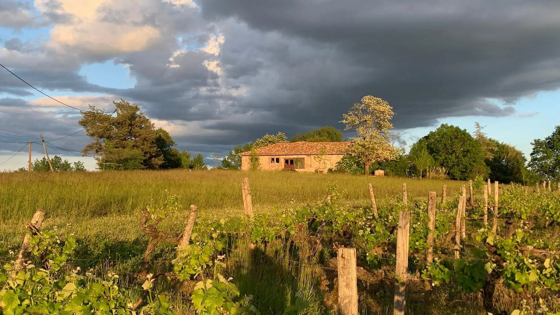 Les Vins De Rouyre - Maison, 4 Pers, Grand Jardin, Bain Nordique Sainte-Cécile-du-Cayrou