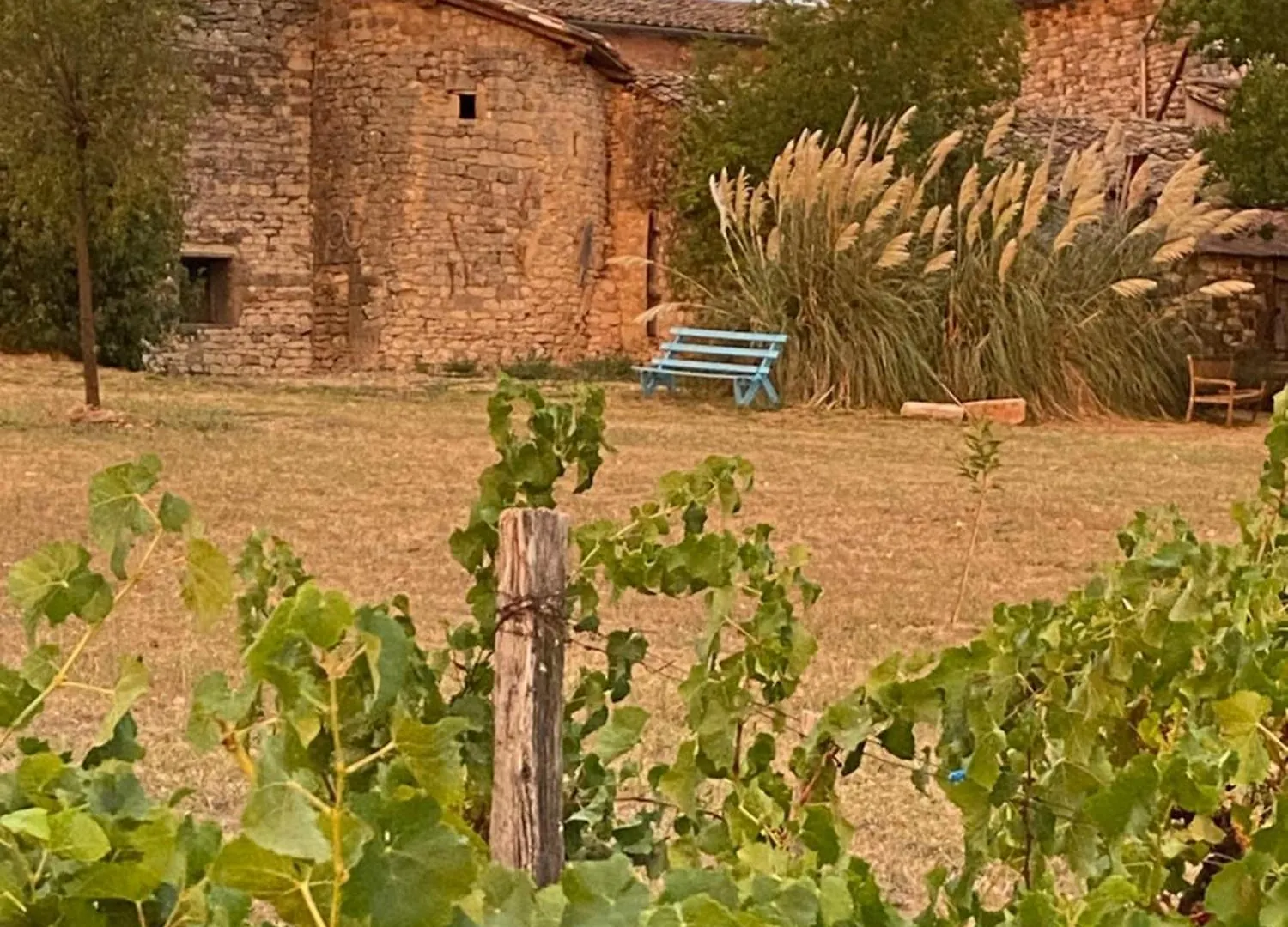 Tatil Evi Les Vins De Rouyre - Maison, 4 Pers, Grand Jardin, Bain Nordique Sainte-Cécile-du-Cayrou